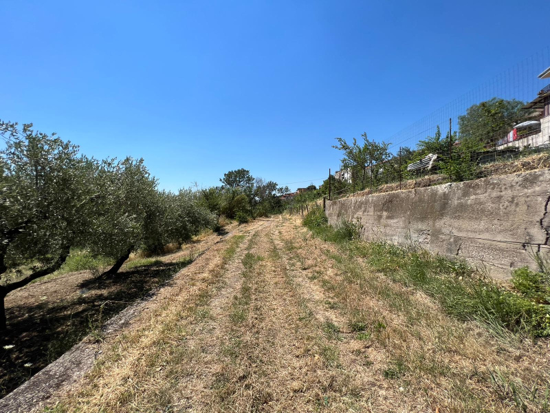 Terreno agricolo in vendita a Montecorvino Rovella (SA)