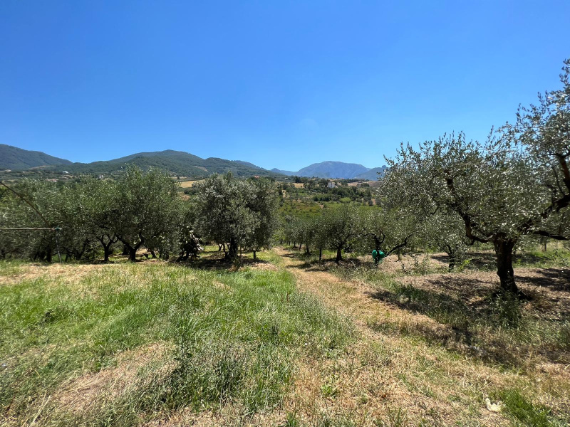 Terreno agricolo in vendita a Montecorvino Rovella (SA)