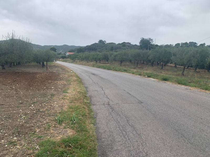 Terreno agricolo in vendita a Montecorvino Pugliano (SA)