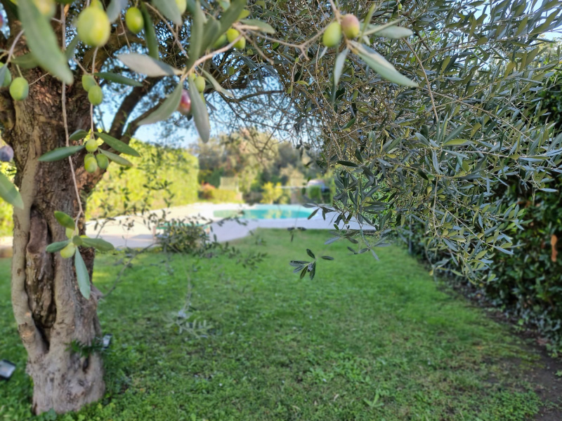 Villa in vendita a Roma (RM)