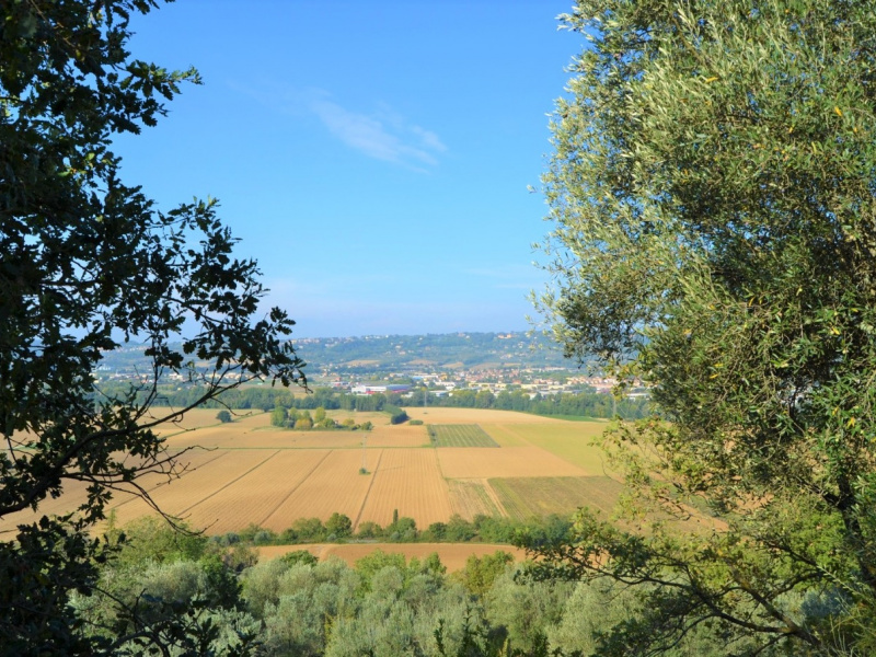 Rustico in vendita a Torgiano (PG)