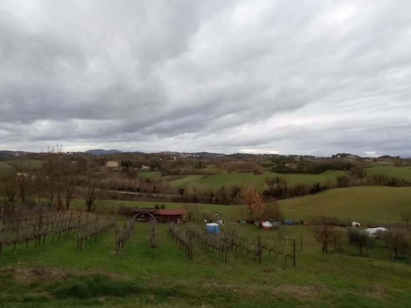 Terreno agricolo in vendita a Perugia (PG)