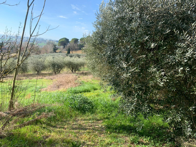 Terreno edificabile in vendita a Perugia (PG)