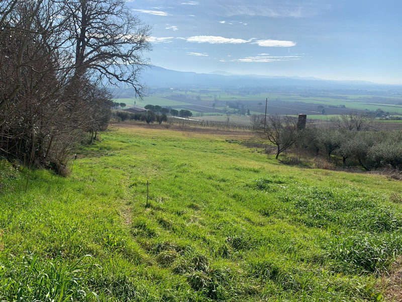 Terreno edificabile in vendita a Perugia (PG)