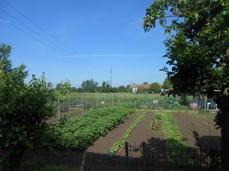 Appartamento in vendita a Milano (MI)