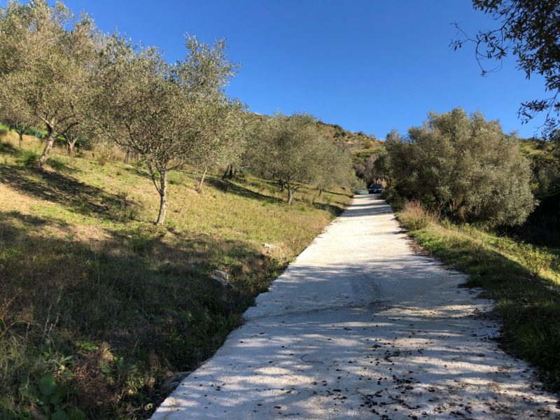 Terreno agricolo in vendita a Castelnuovo Cilento (SA)