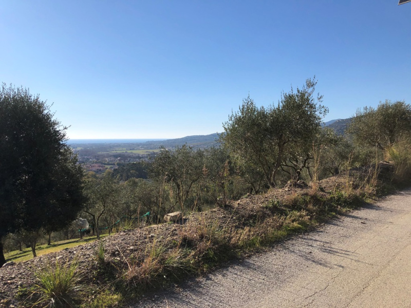 Terreno agricolo in vendita a Castelnuovo Cilento (SA)