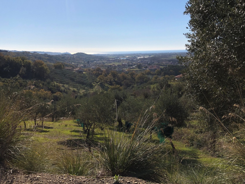 Terreno agricolo in vendita a Castelnuovo Cilento (SA)