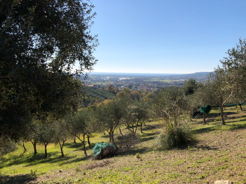 Terreno agricolo in vendita a Castelnuovo Cilento (SA)