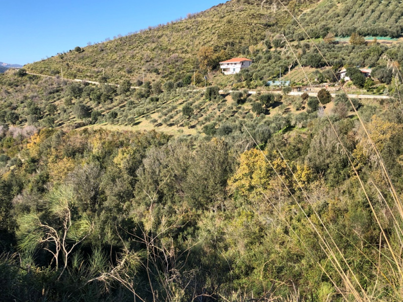 Terreno agricolo in vendita a Castelnuovo Cilento (SA)