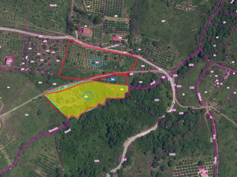 Terreno agricolo in vendita a Castelnuovo Cilento (SA)