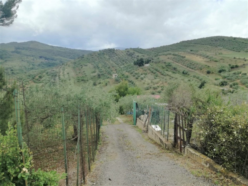 immagine annuncio 1 di 3