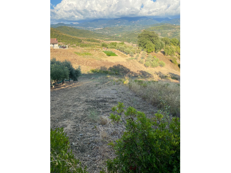 Terreno edificabile in vendita a Castelnuovo Cilento (SA)