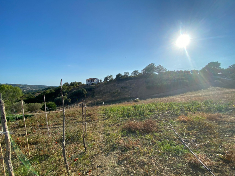 Terreno edificabile in vendita a Castelnuovo Cilento (SA)