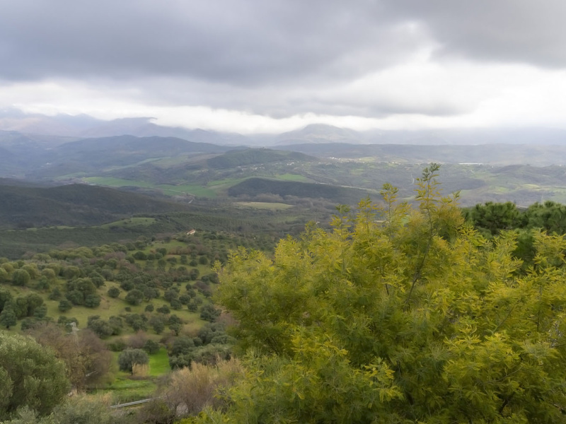 Appartamento in vendita a Castelnuovo Cilento (SA)