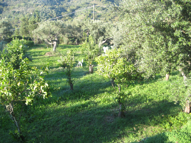 Villa in vendita a Casal Velino (SA)