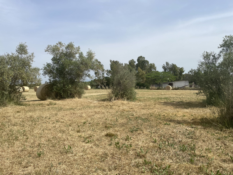 Terreno agricolo in vendita a Cisterna Di Latina (LT)