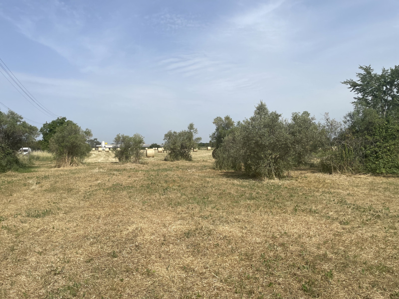 Terreno agricolo in vendita a Cisterna Di Latina (LT)