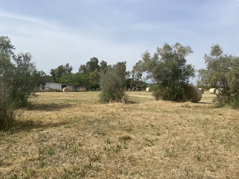 Terreno agricolo in vendita a Cisterna Di Latina (LT)