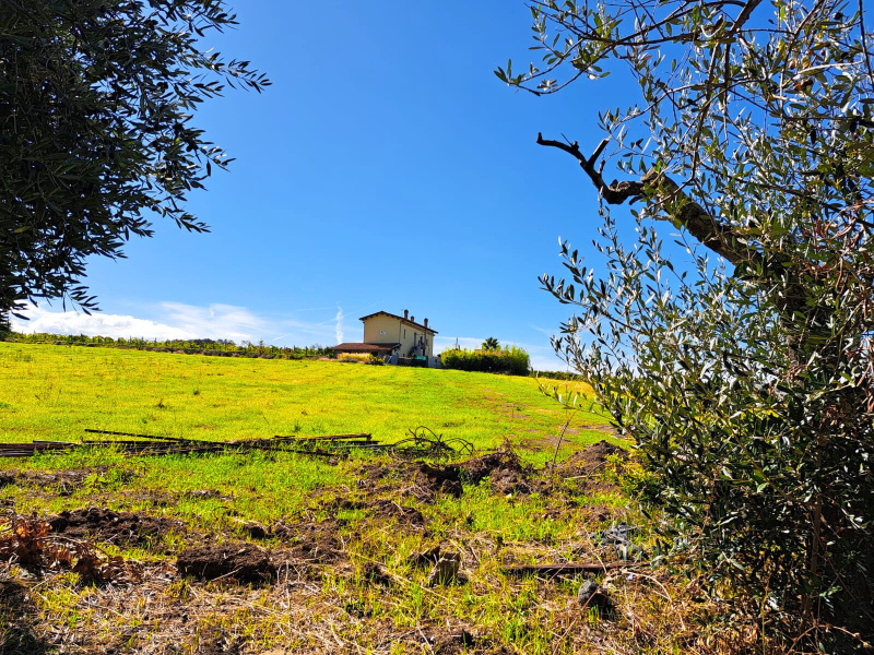 Rustico in vendita a Grottaferrata (RM)