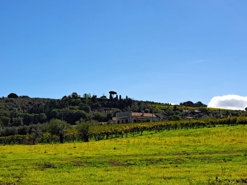 Rustico in vendita a Grottaferrata (RM)