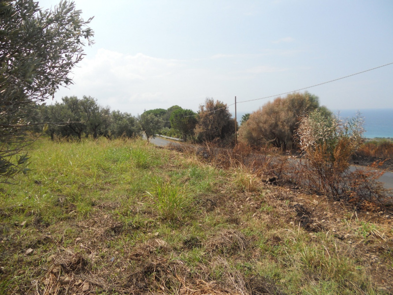 immagine annuncio 6 di 7