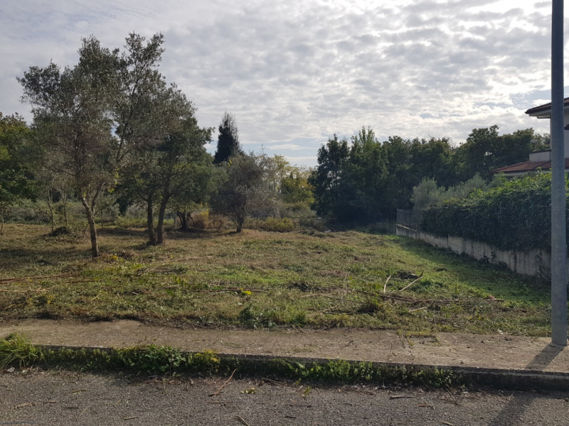 immagine annuncio 3 di 6