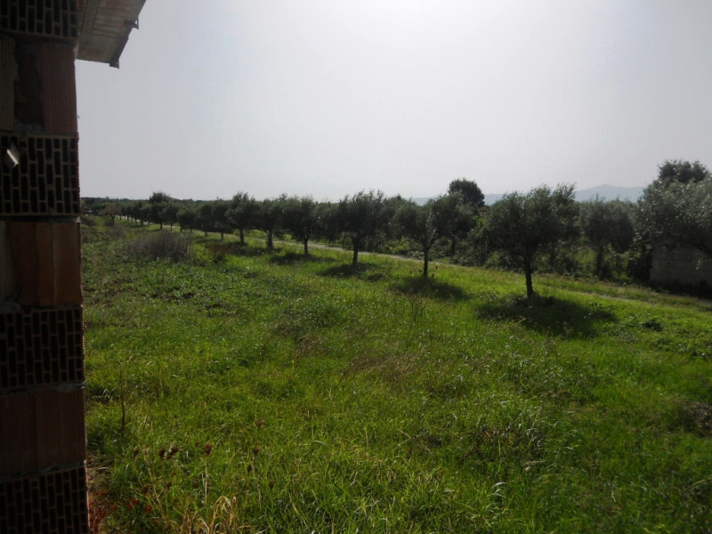 immagine annuncio 4 di 6