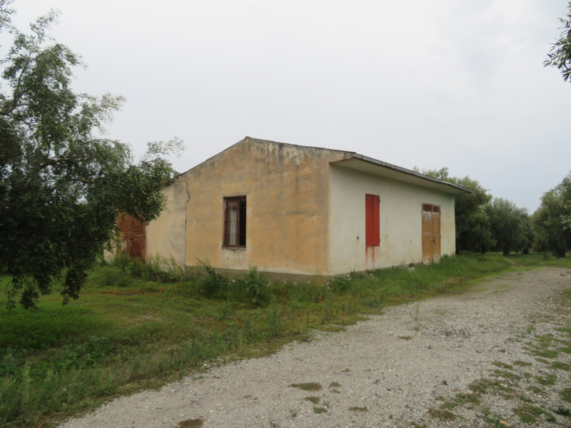 immagine annuncio 1 di 7