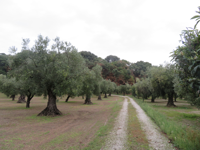 immagine annuncio 6 di 7