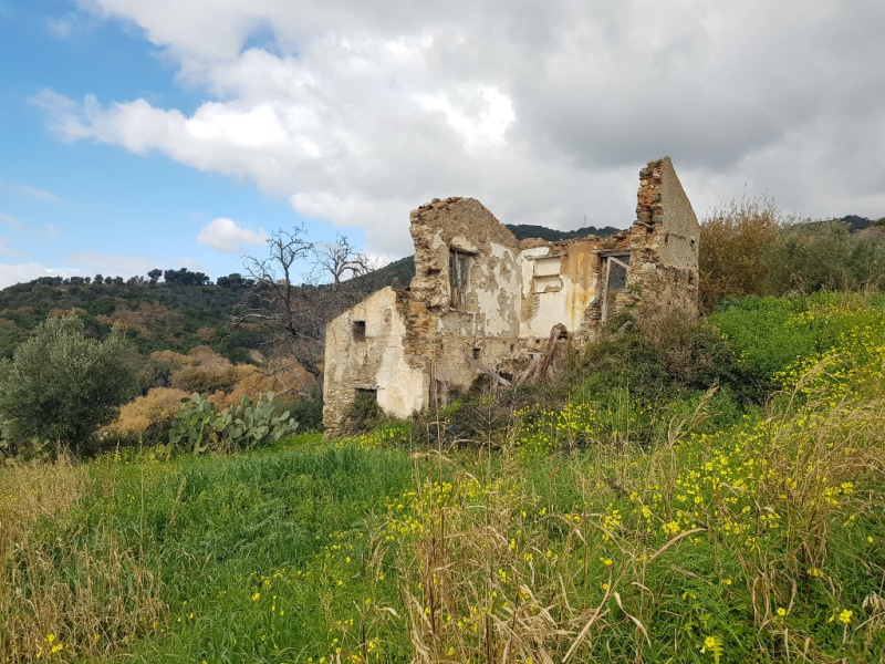 immagine annuncio 3 di 4