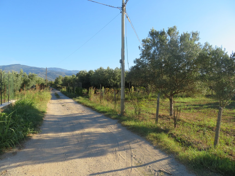 immagine annuncio 3 di 6