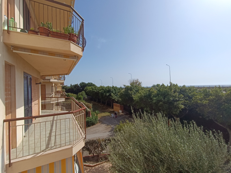 immagine annuncio 11 di 12
