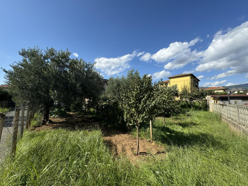 immagine annuncio 2 di 4