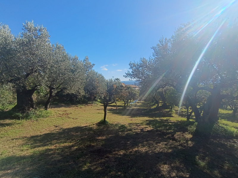 immagine annuncio 2 di 6
